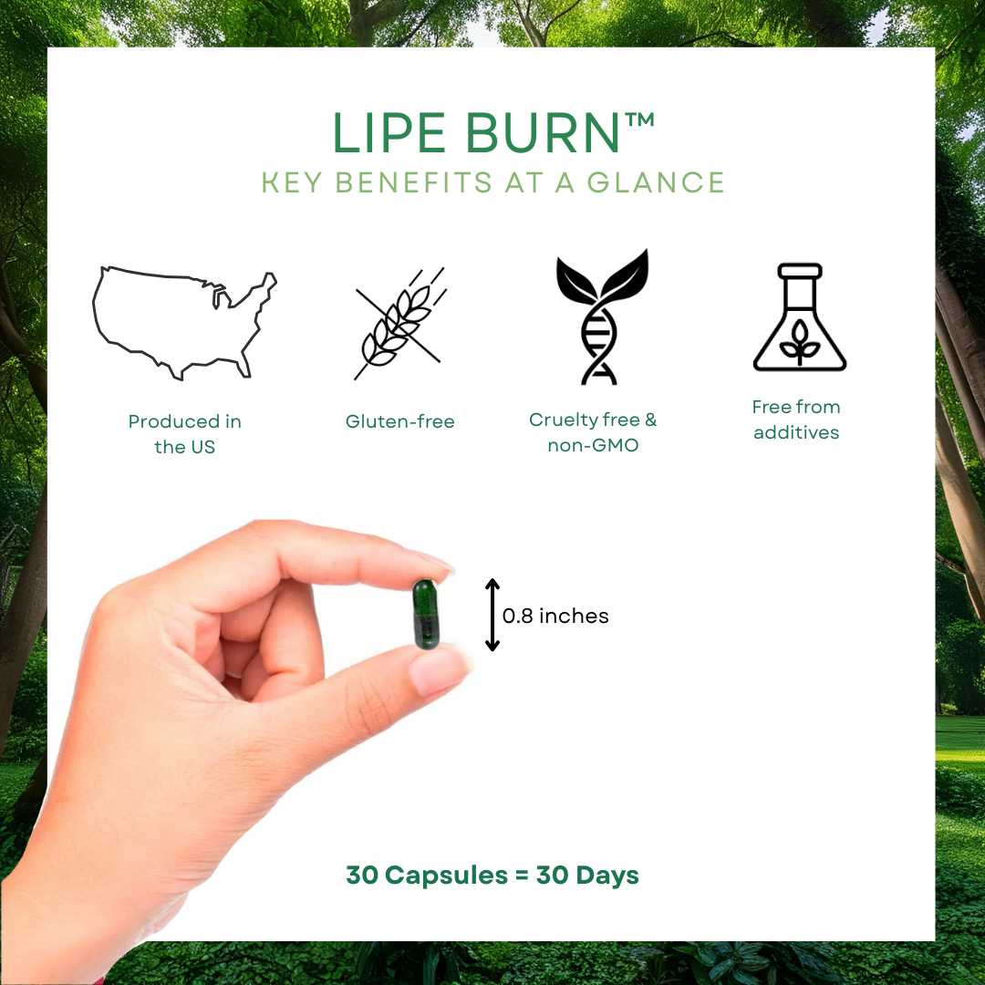 Lipe Burn™ | 5-Month Treatment